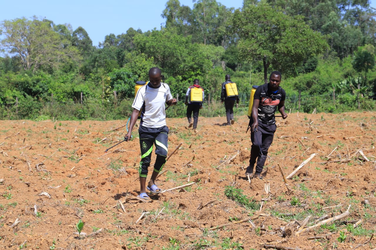 Farming Activities